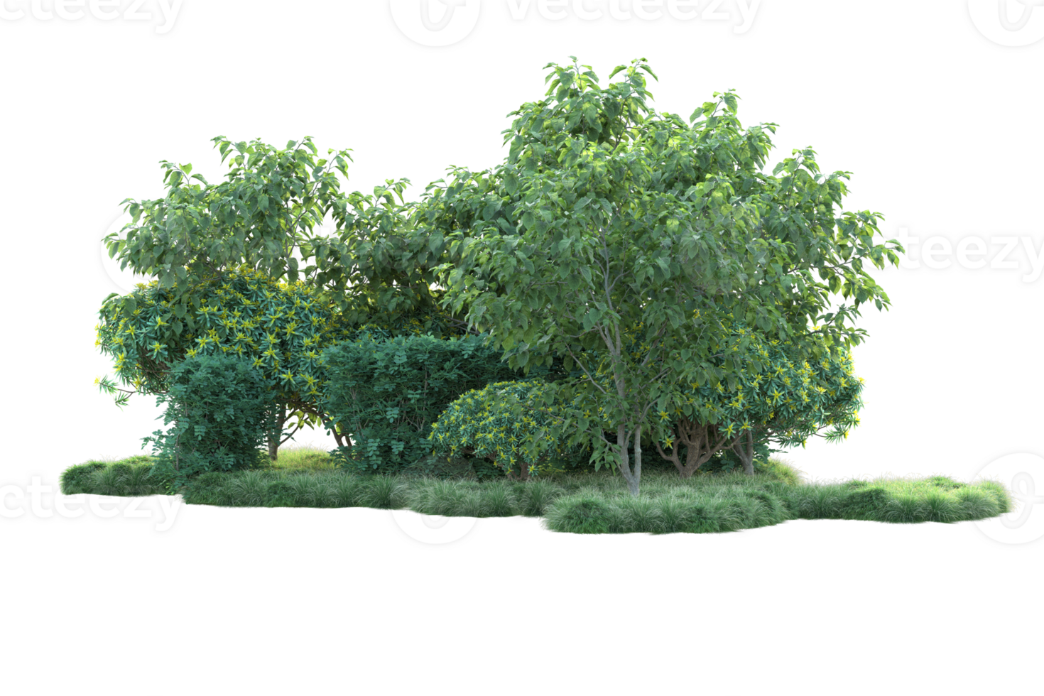 Tropical forest isolated on transparent background. 3d rendering - illustration png