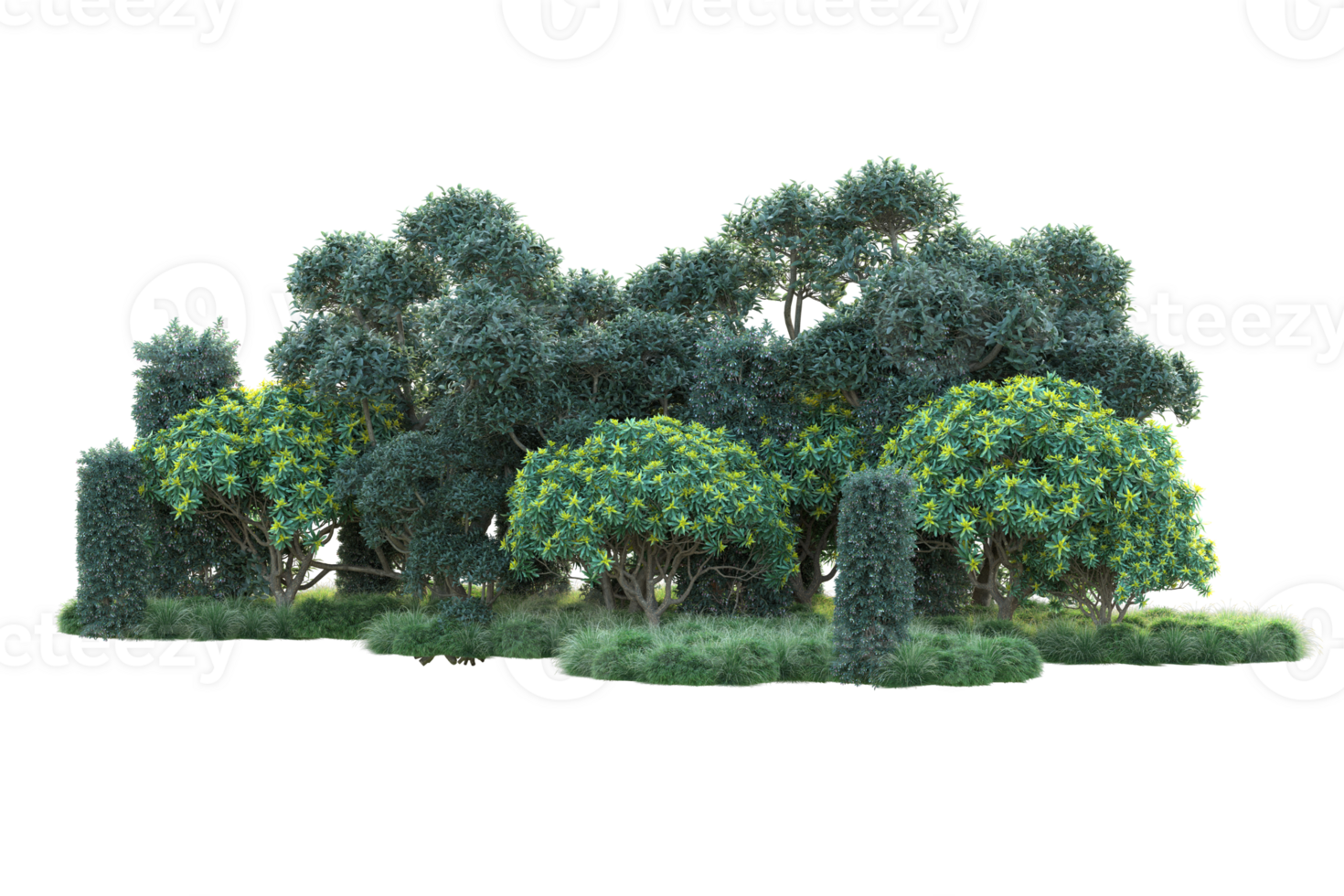 Tropical forest isolated on transparent background. 3d rendering - illustration png