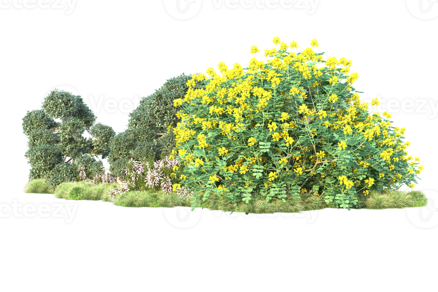 Tropical forest isolated on transparent background. 3d rendering - illustration png
