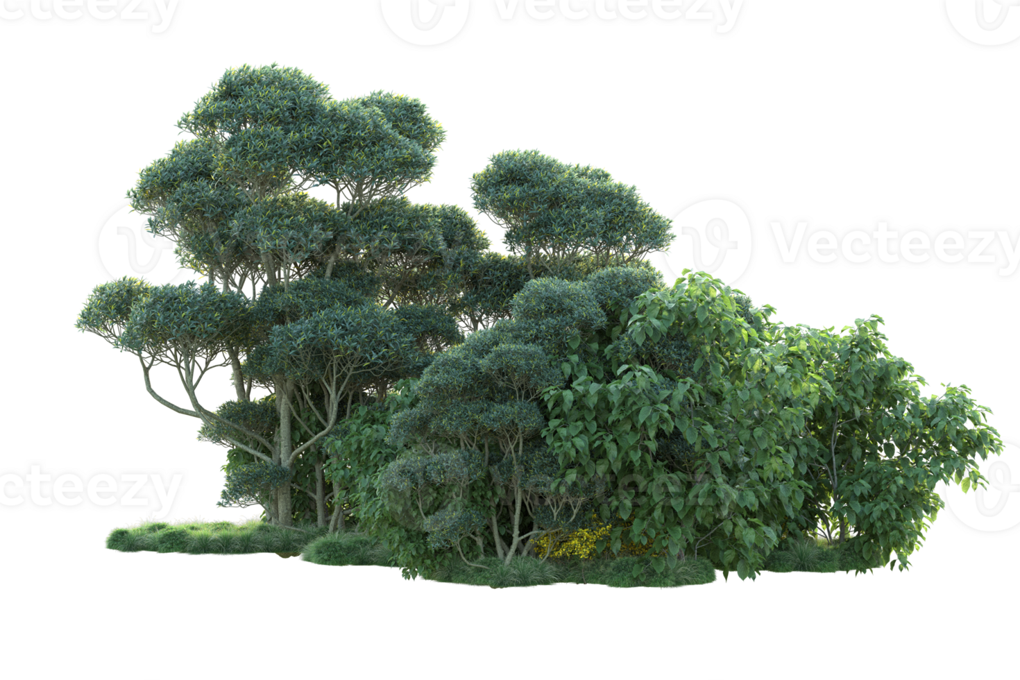 Tropical forest isolated on transparent background. 3d rendering - illustration png