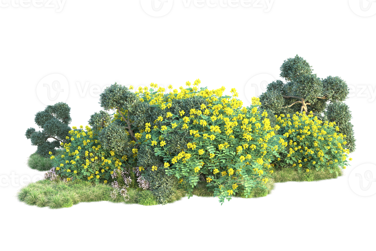 Tropical forest isolated on transparent background. 3d rendering - illustration png