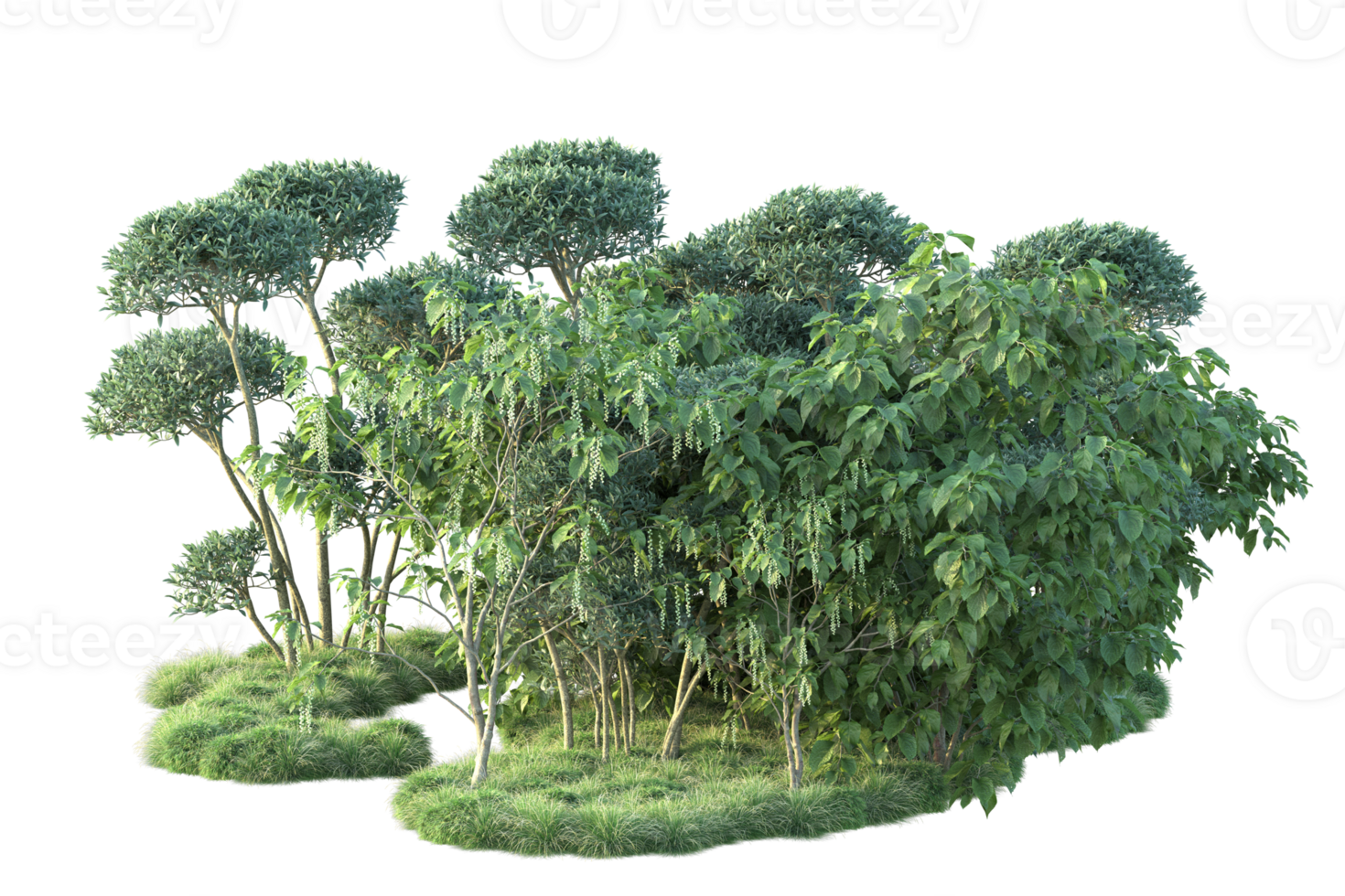 Tropical forest isolated on transparent background. 3d rendering - illustration png