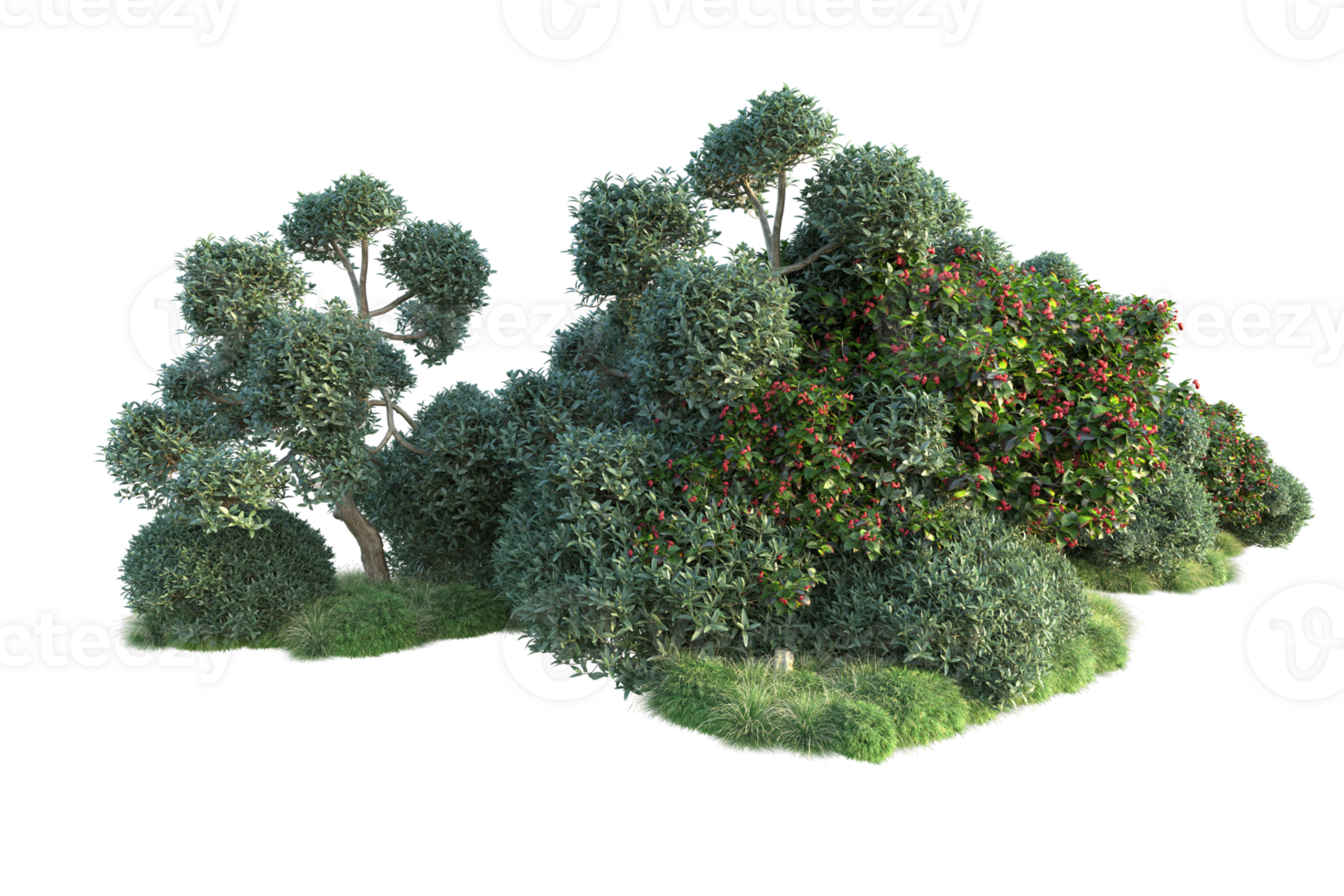 Tropical forest isolated on transparent background. 3d rendering - illustration png