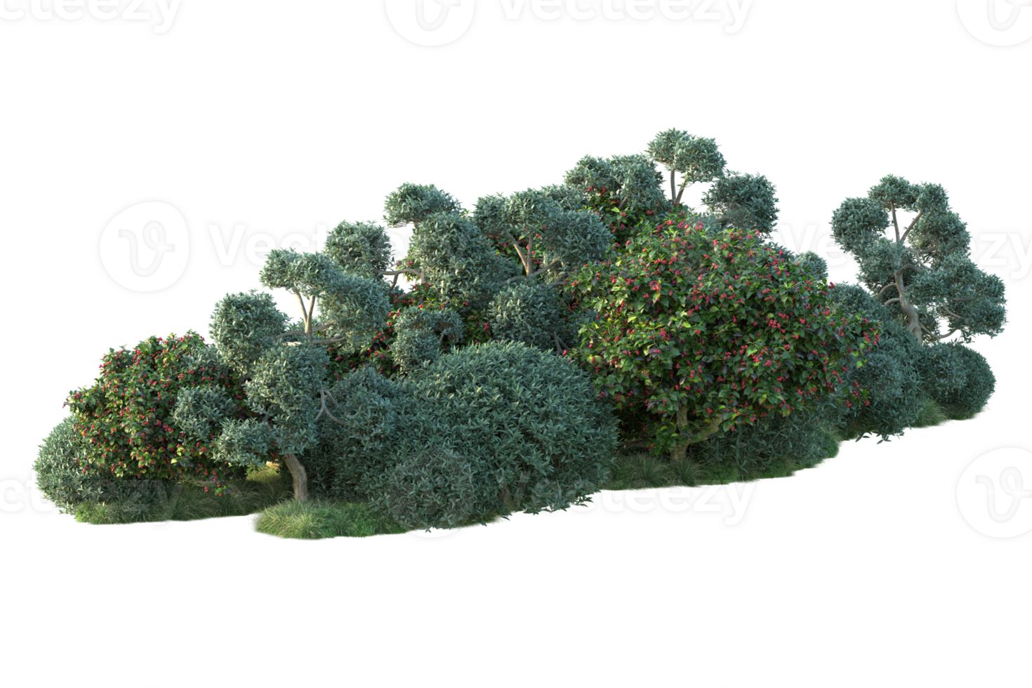 Tropical forest isolated on transparent background. 3d rendering - illustration png