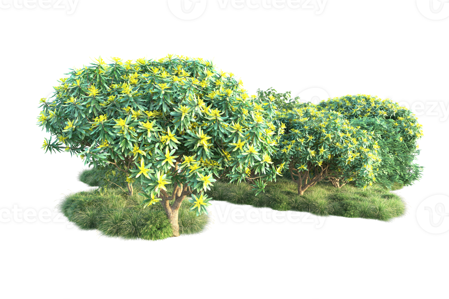 Tropical forest isolated on transparent background. 3d rendering - illustration png