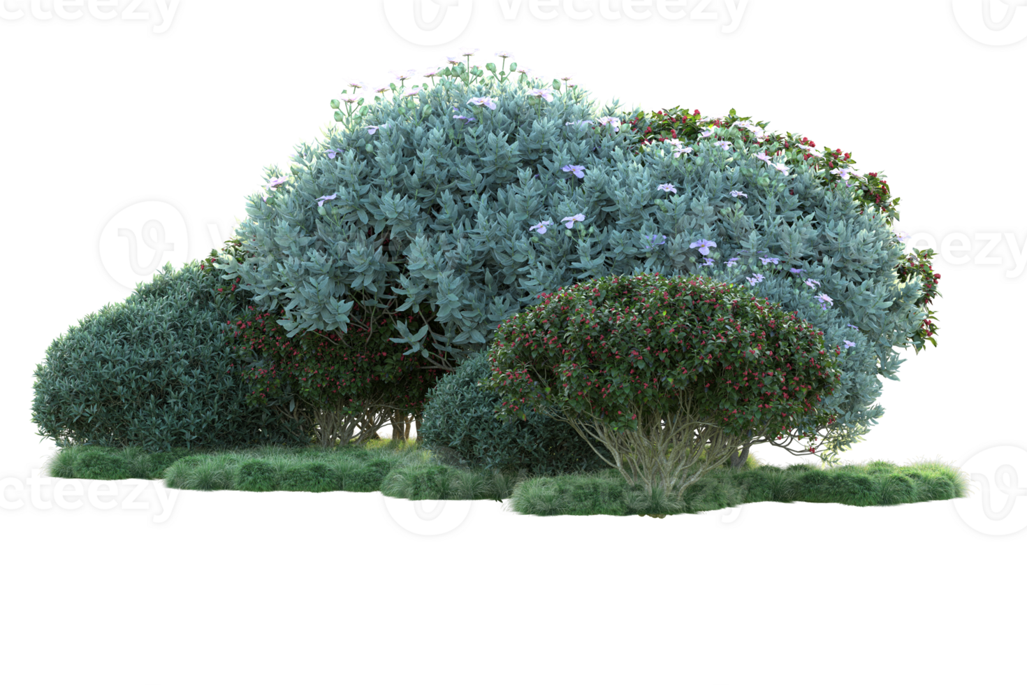 Tropical forest isolated on transparent background. 3d rendering - illustration png