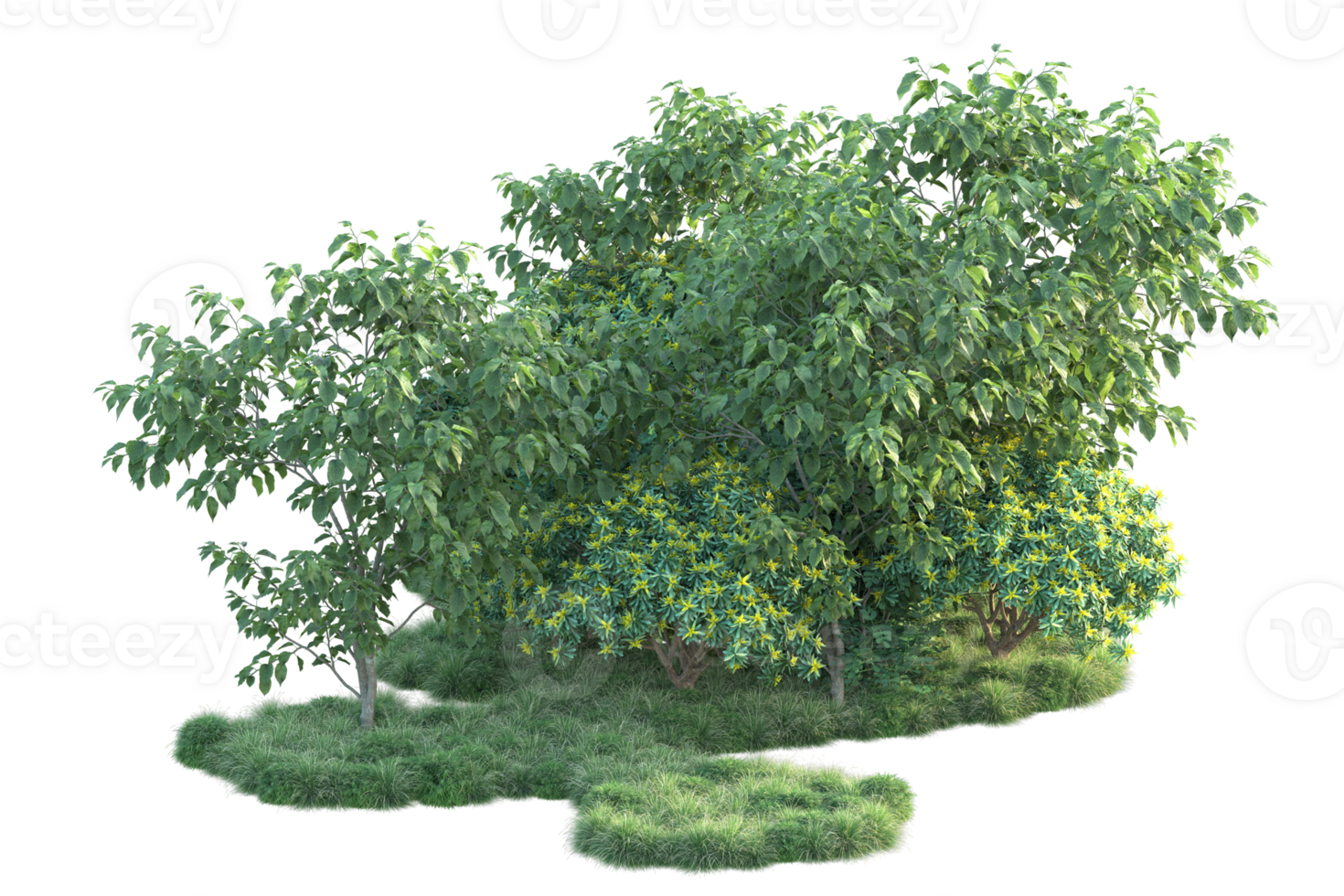 Tropical forest isolated on transparent background. 3d rendering - illustration png