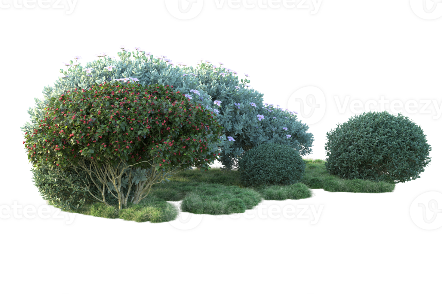 Tropical forest isolated on transparent background. 3d rendering - illustration png