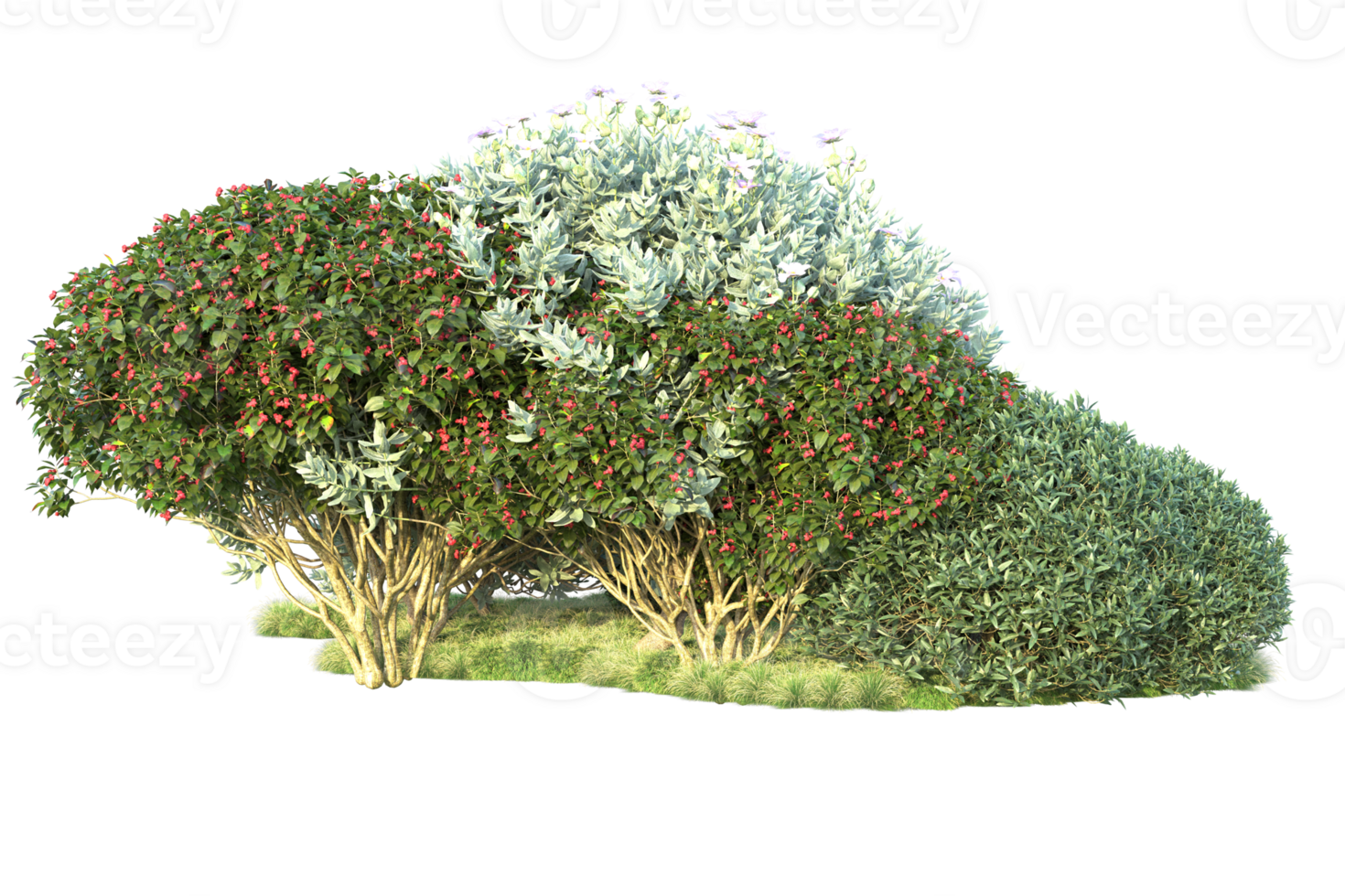 Tropical forest isolated on transparent background. 3d rendering - illustration png