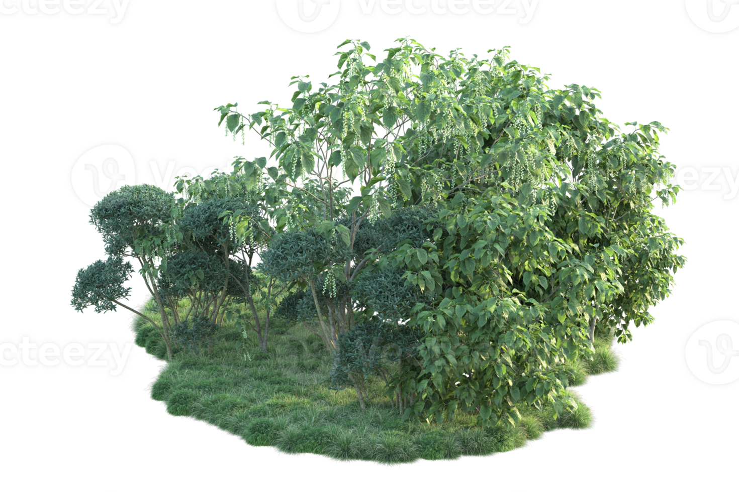 Tropical forest isolated on transparent background. 3d rendering - illustration png