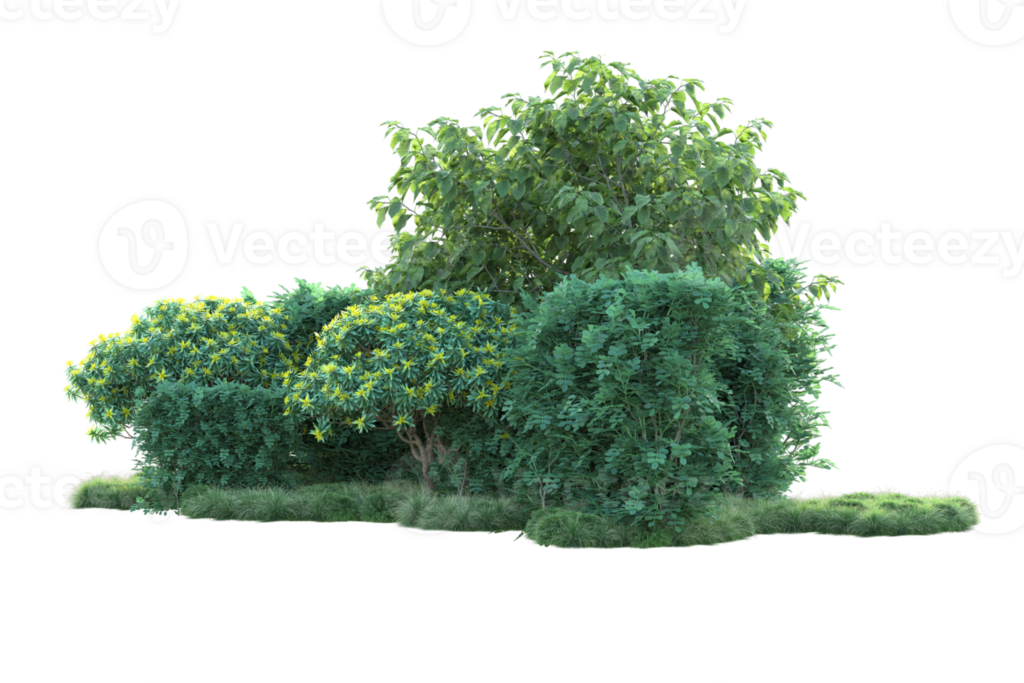 Tropical forest isolated on transparent background. 3d rendering - illustration png