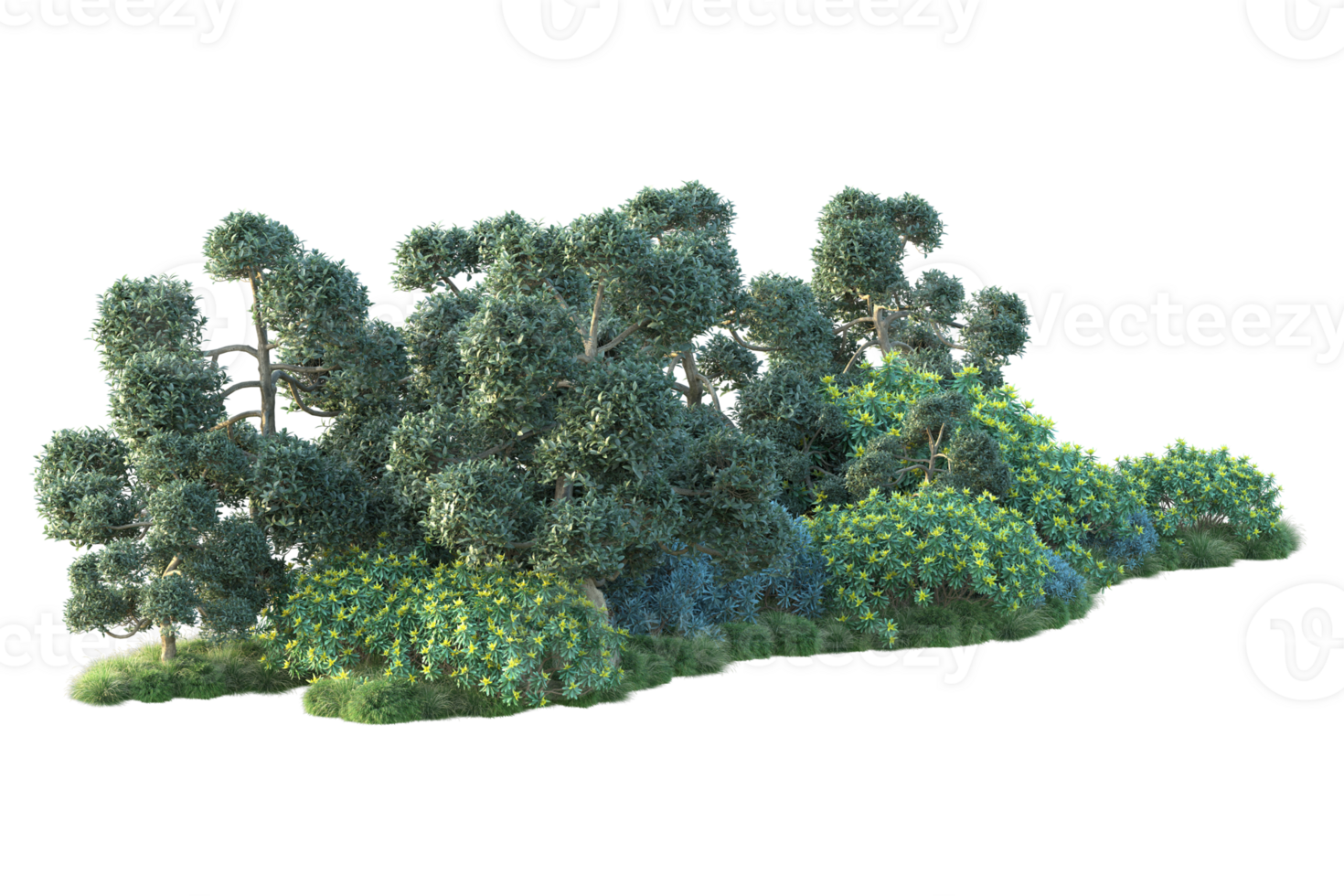 Tropical forest isolated on transparent background. 3d rendering - illustration png