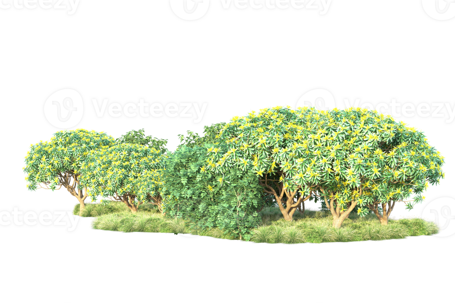 Tropical forest isolated on transparent background. 3d rendering - illustration png