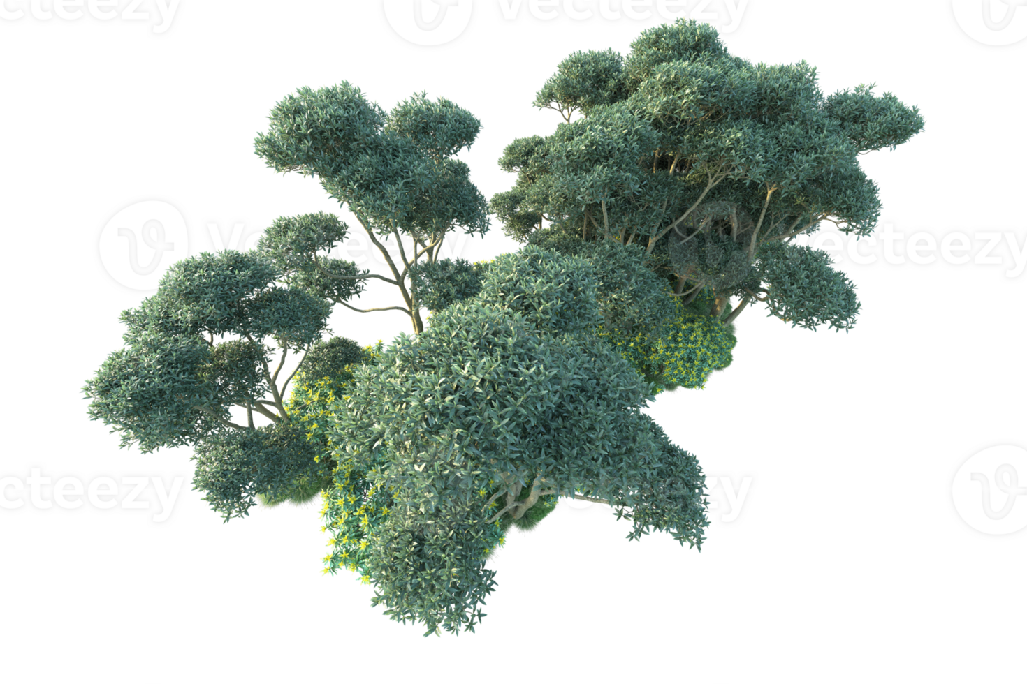 Tropical forest isolated on transparent background. 3d rendering - illustration png
