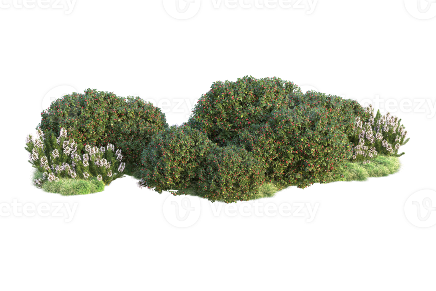 Tropical forest isolated on transparent background. 3d rendering - illustration png