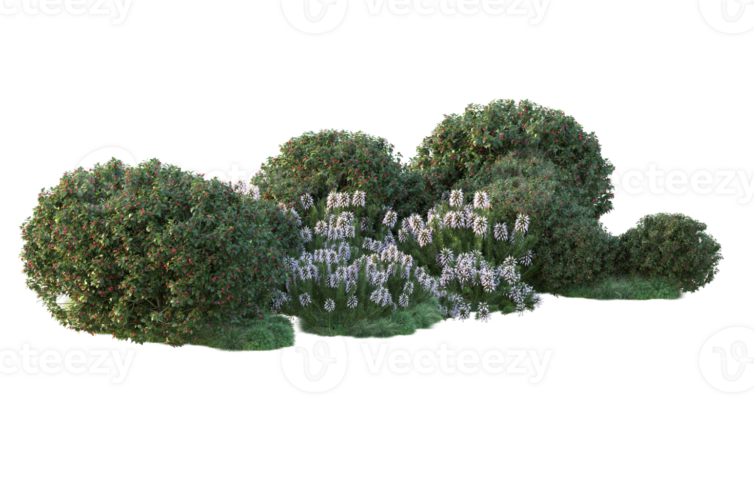 Tropical forest isolated on transparent background. 3d rendering - illustration png
