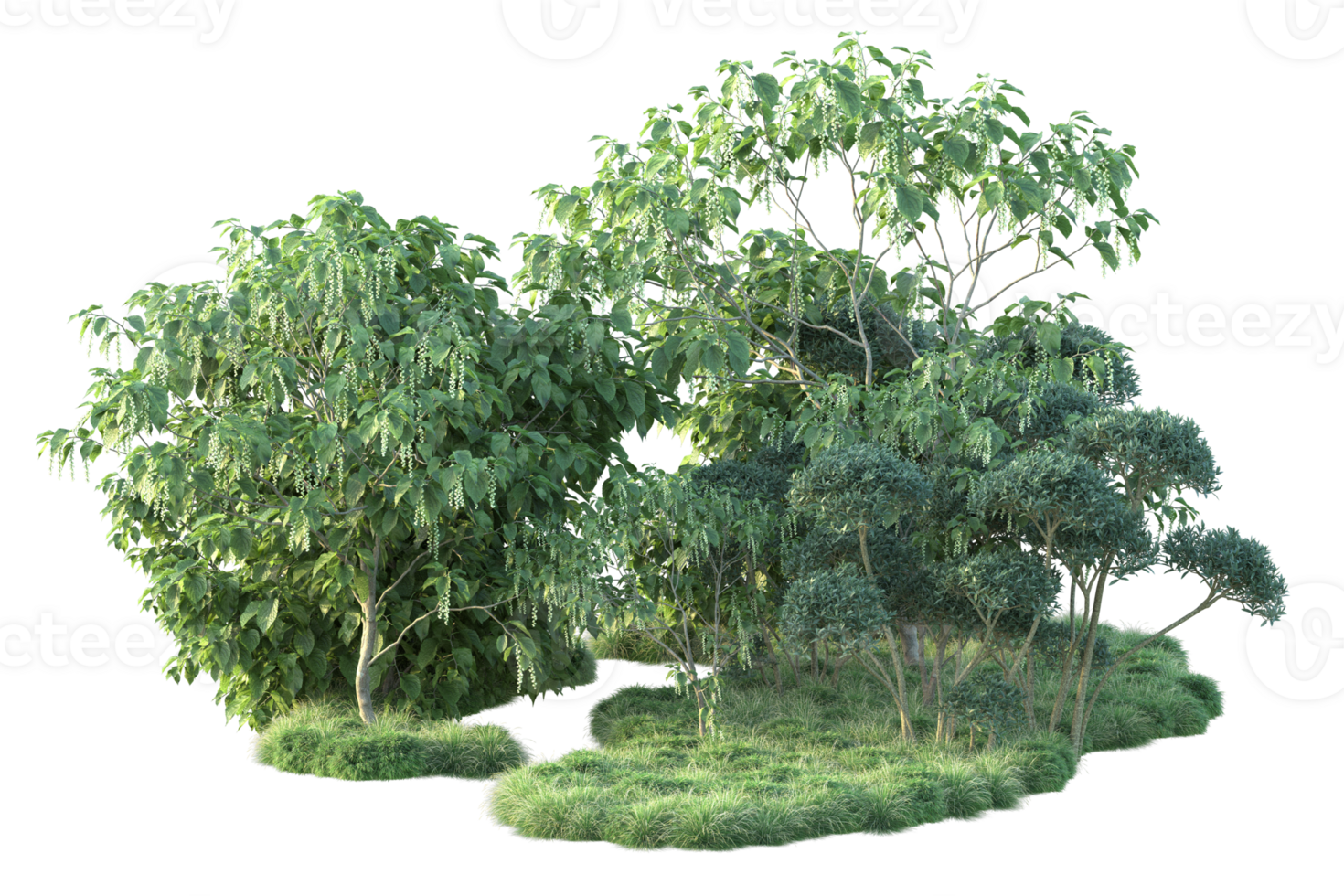 Tropical forest isolated on transparent background. 3d rendering - illustration png