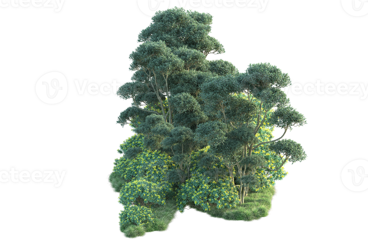 Tropical forest isolated on transparent background. 3d rendering - illustration png