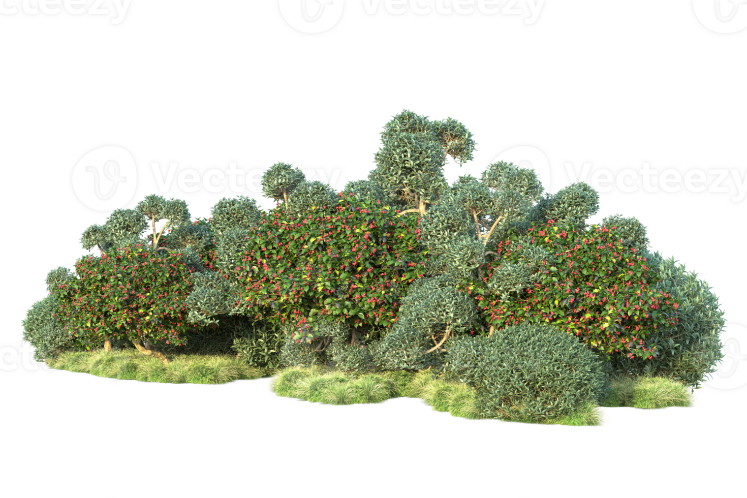 Tropical forest isolated on transparent background. 3d rendering - illustration png