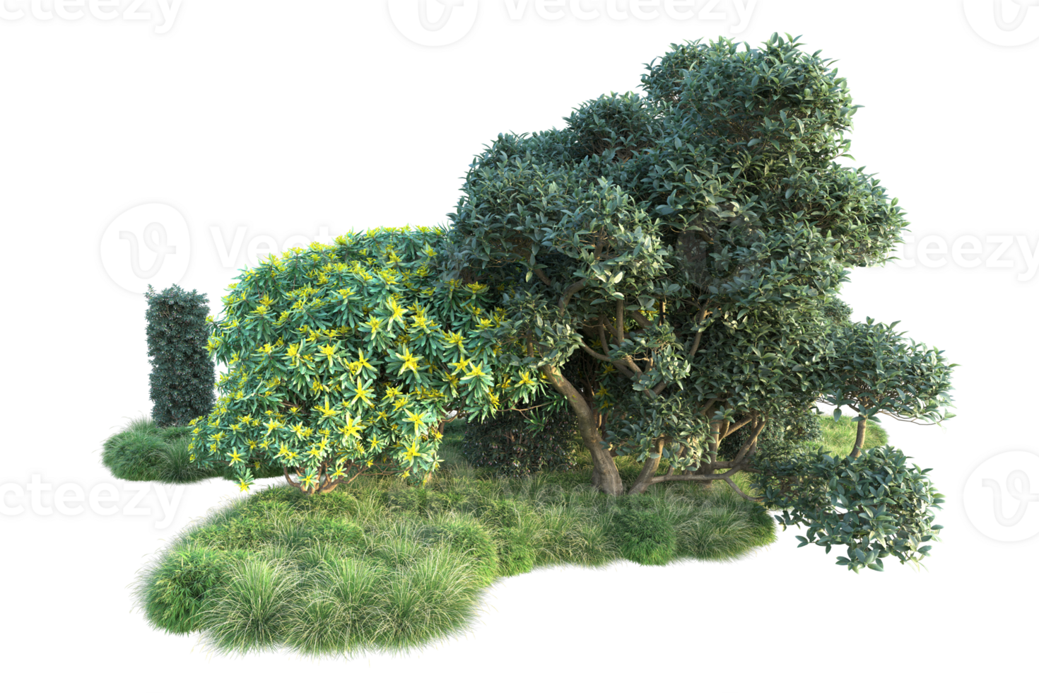 Tropical forest isolated on transparent background. 3d rendering - illustration png