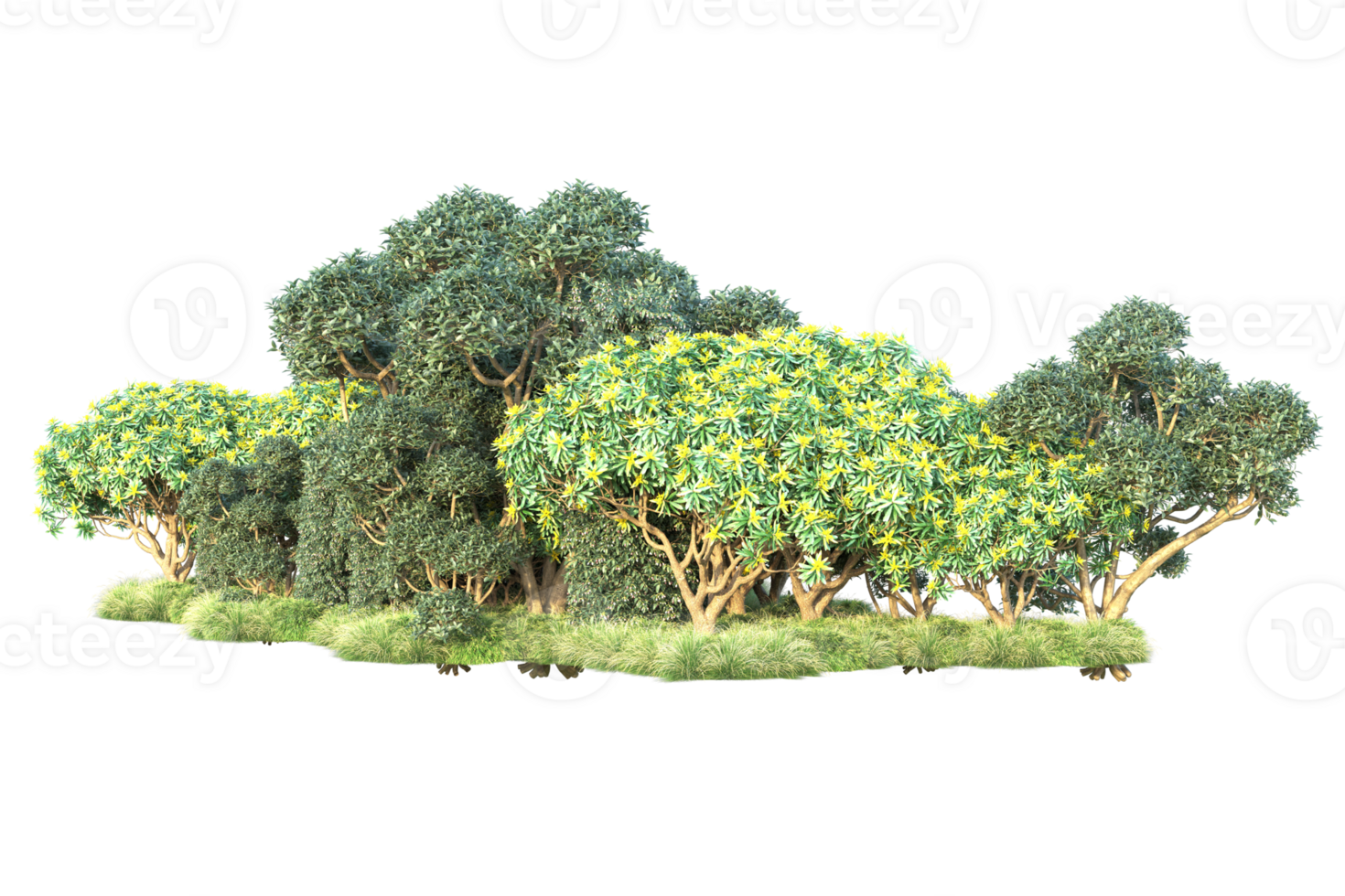 Tropical forest isolated on transparent background. 3d rendering - illustration png