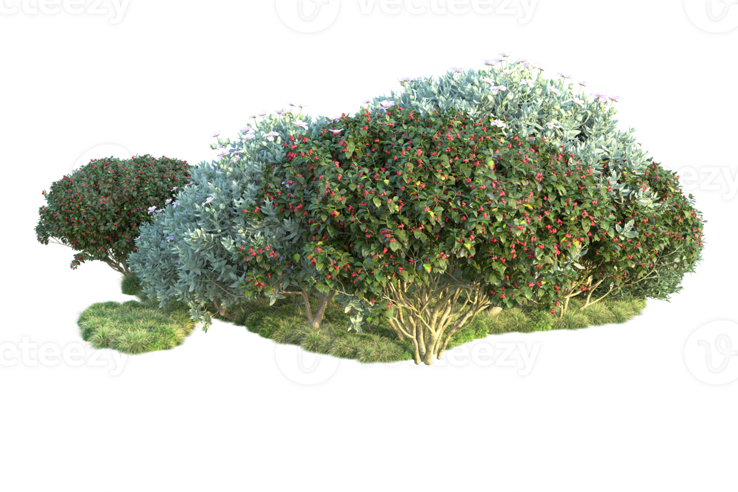 Tropical forest isolated on transparent background. 3d rendering - illustration png