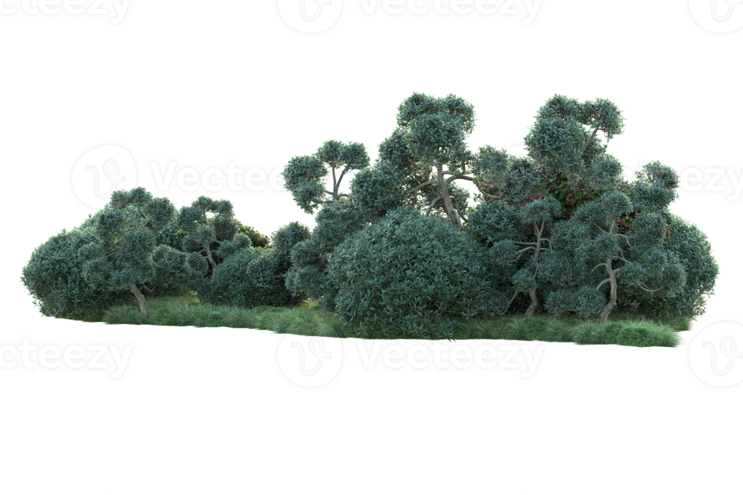 Tropical forest isolated on transparent background. 3d rendering - illustration png