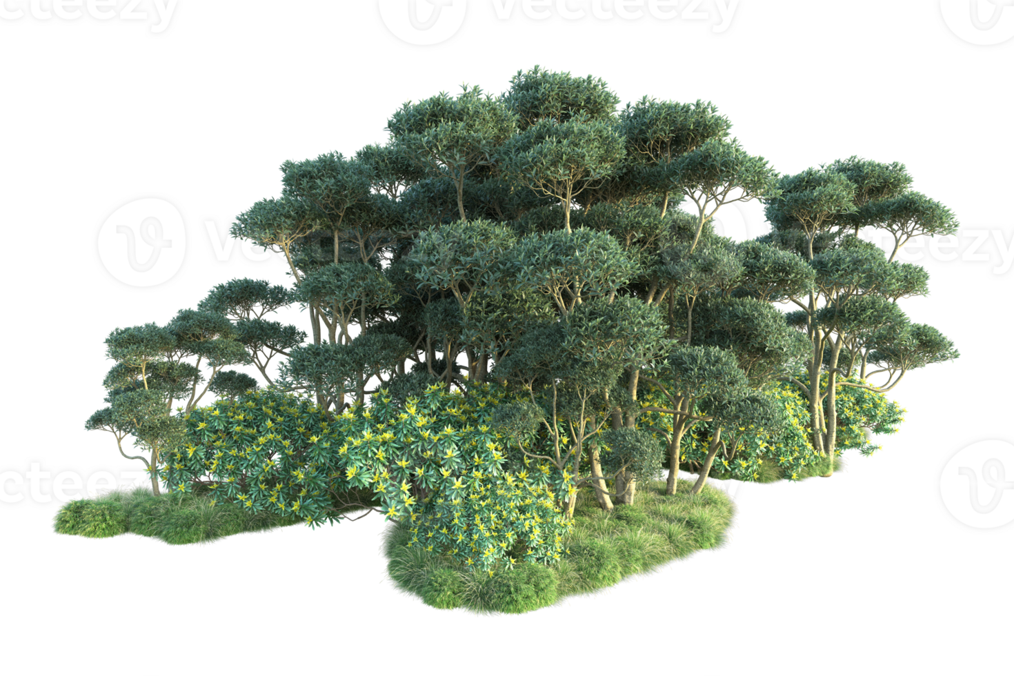 Tropical forest isolated on transparent background. 3d rendering - illustration png