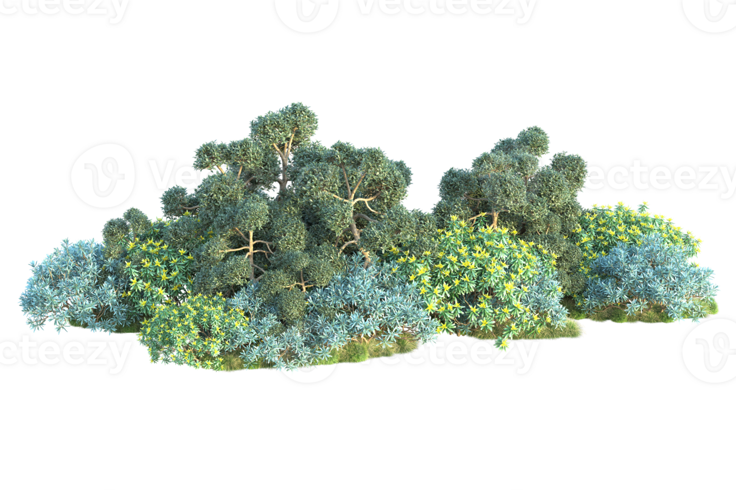 Tropical forest isolated on transparent background. 3d rendering - illustration png