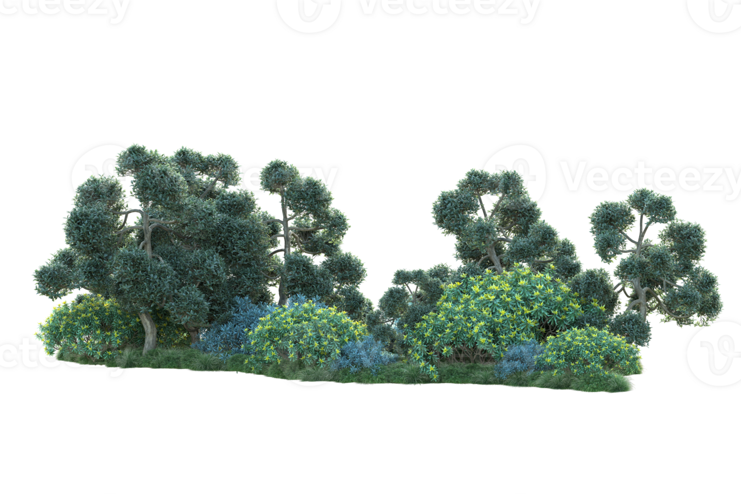 Tropical forest isolated on transparent background. 3d rendering - illustration png