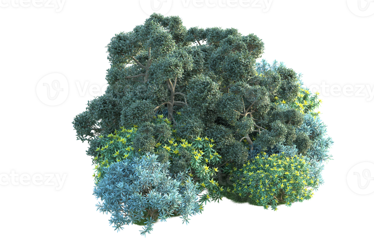 Tropical forest isolated on transparent background. 3d rendering - illustration png