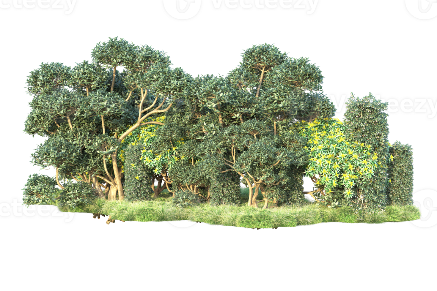 Tropical forest isolated on transparent background. 3d rendering - illustration png