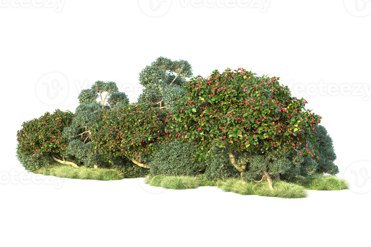 Tropical forest isolated on transparent background. 3d rendering - illustration png