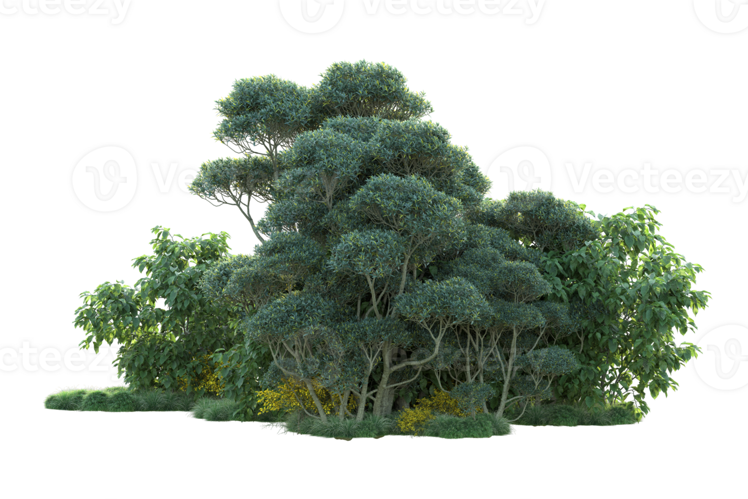 Tropical forest isolated on transparent background. 3d rendering - illustration png