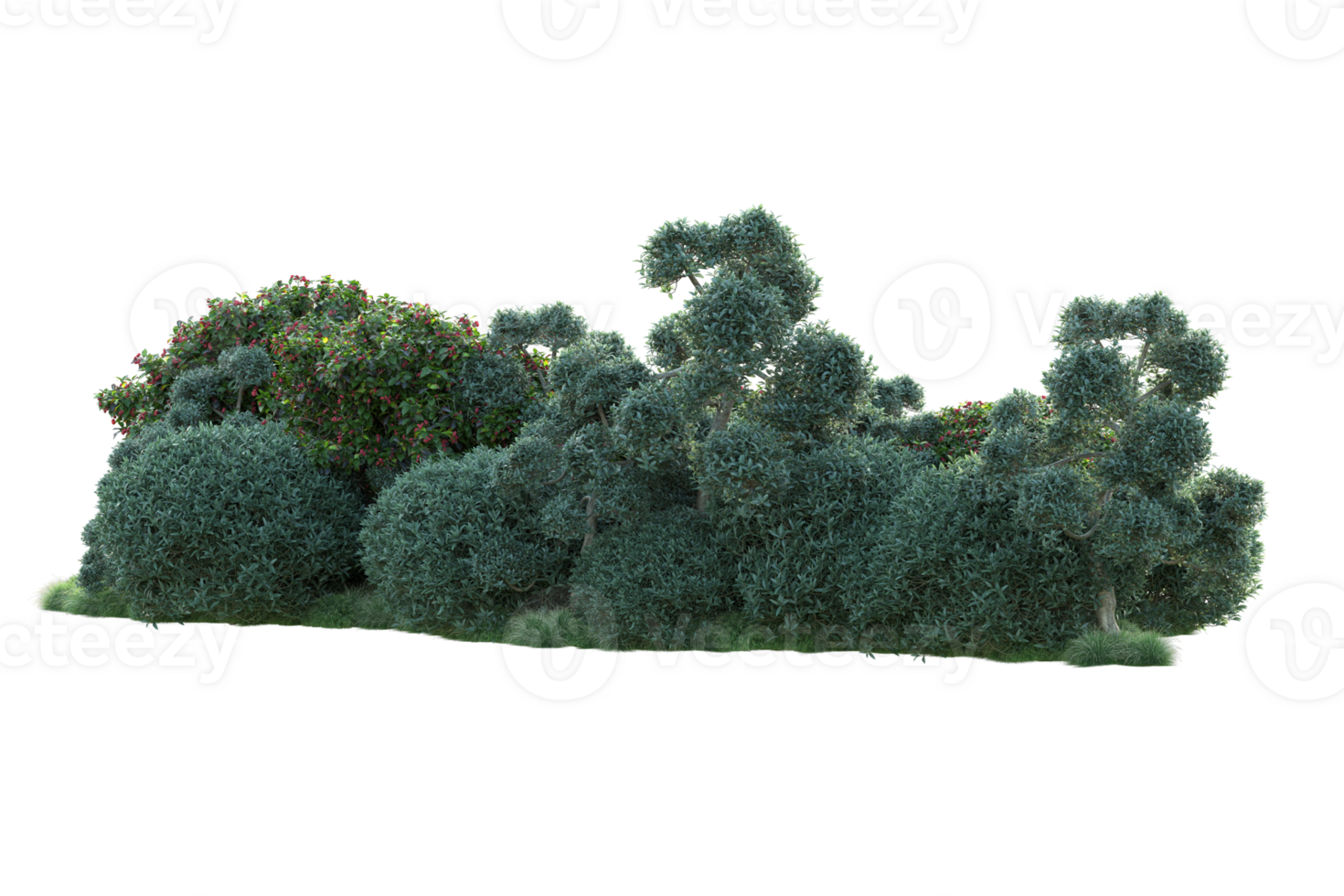Tropical forest isolated on transparent background. 3d rendering - illustration png