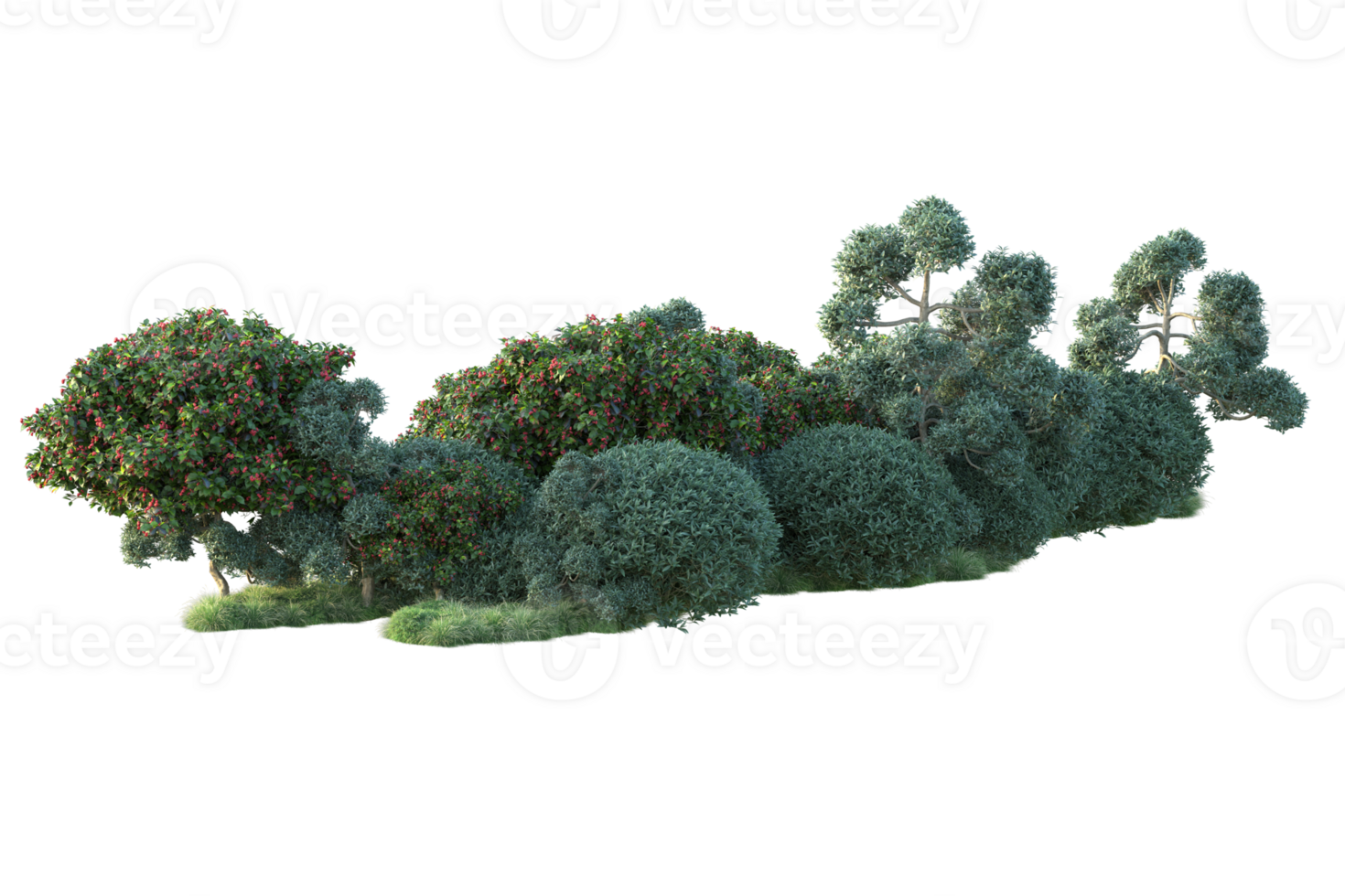 Tropical forest isolated on transparent background. 3d rendering - illustration png