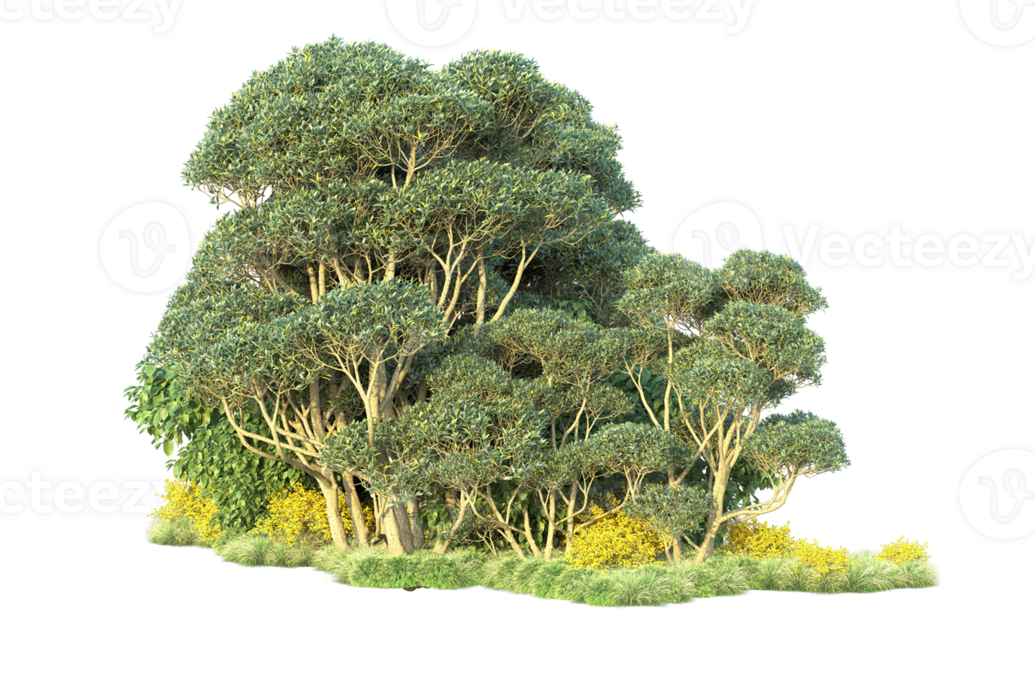 Tropical forest isolated on transparent background. 3d rendering - illustration png