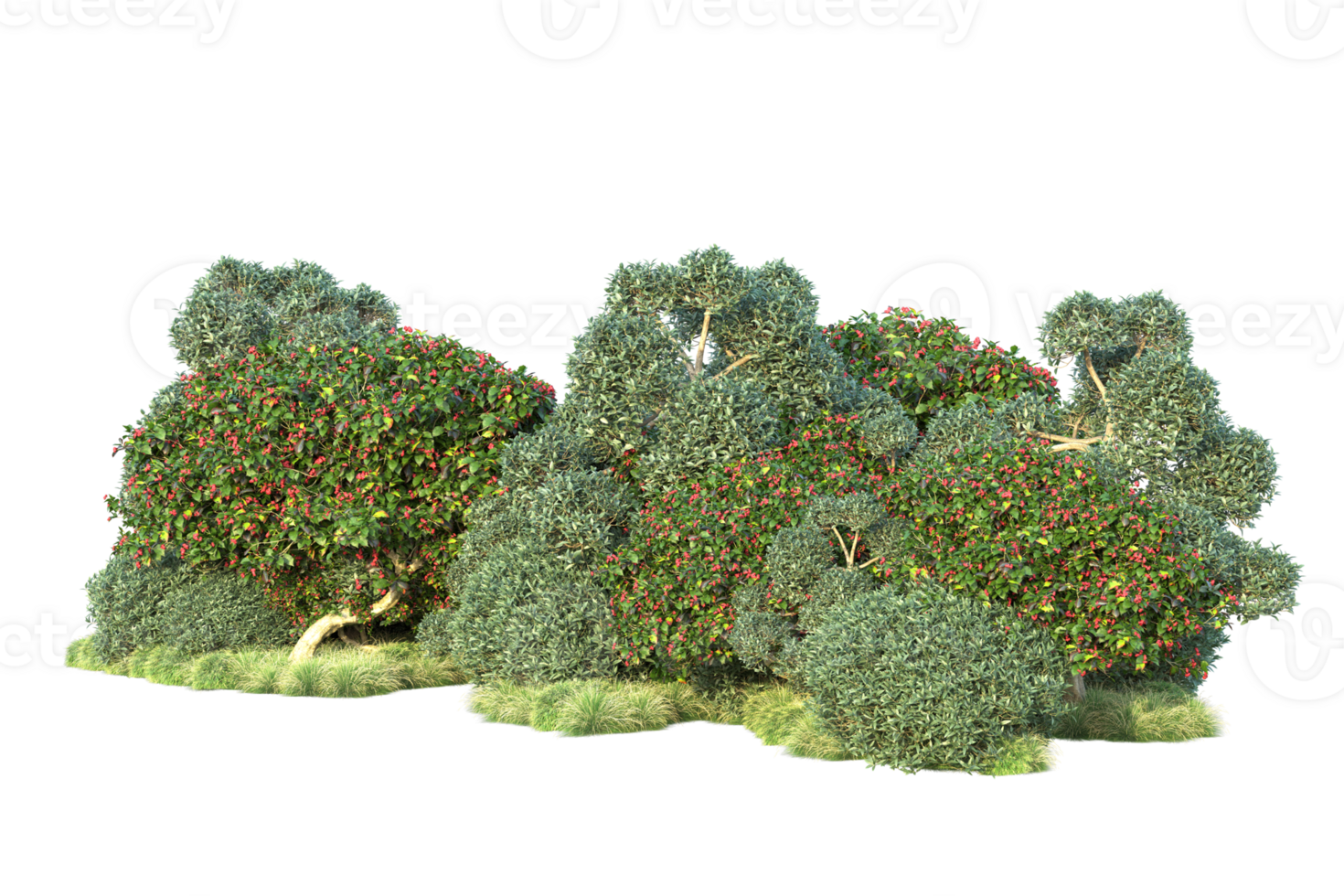 Tropical forest isolated on transparent background. 3d rendering - illustration png