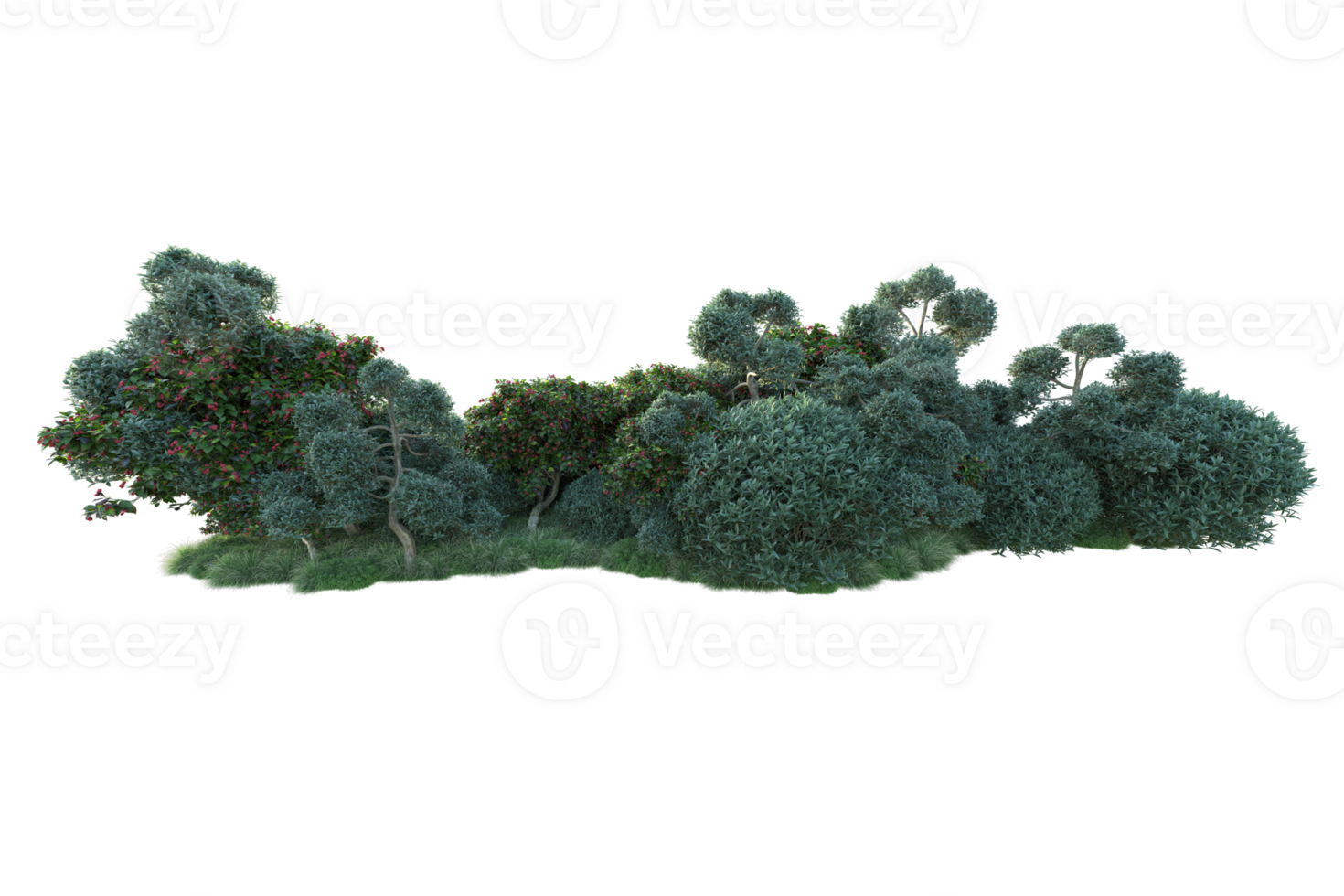 Tropical forest isolated on transparent background. 3d rendering - illustration png