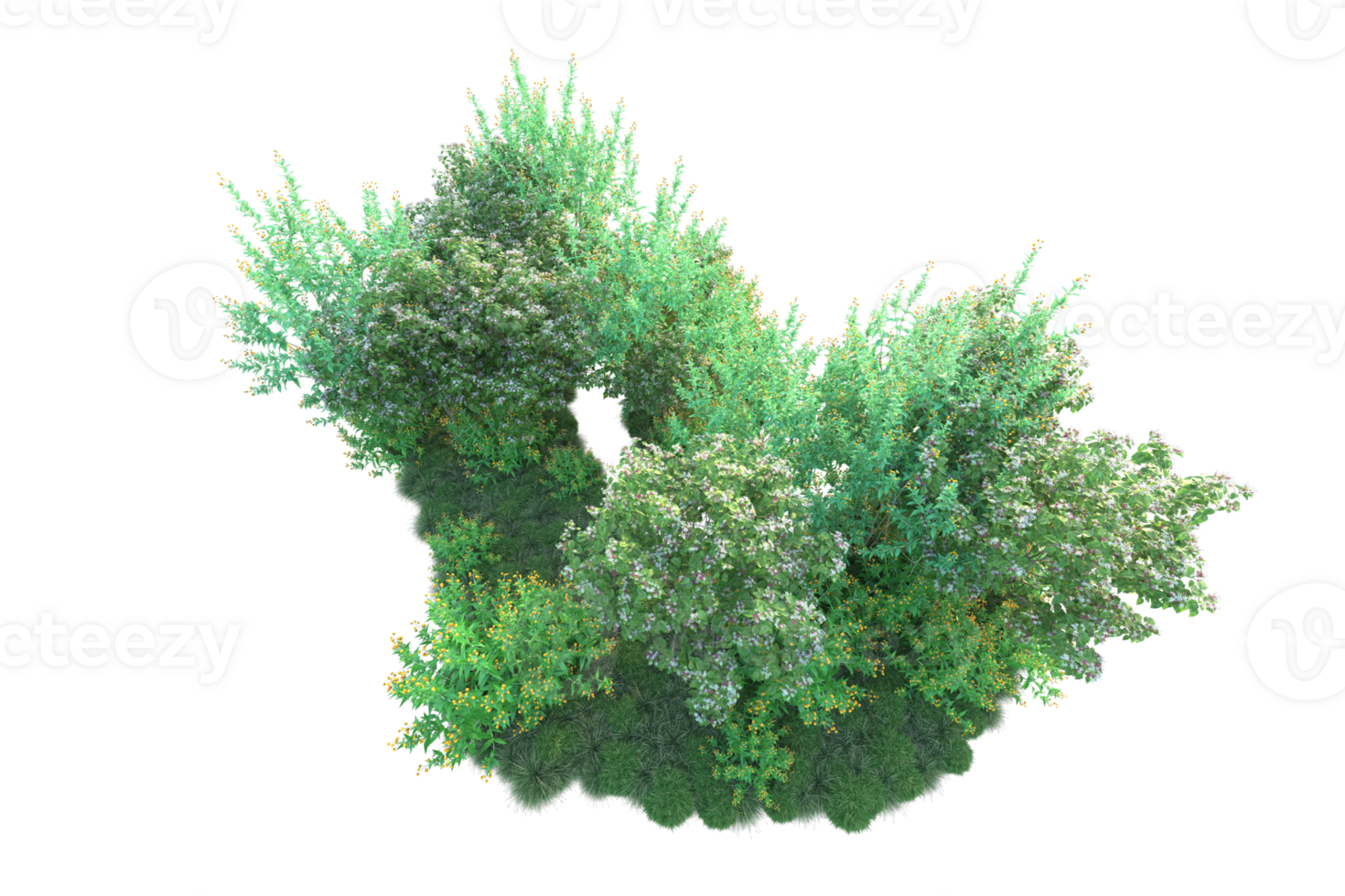 Tropical forest isolated on transparent background. 3d rendering - illustration png