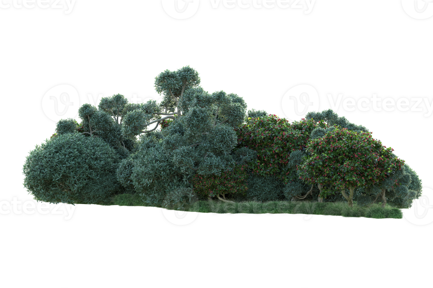 Tropical forest isolated on transparent background. 3d rendering - illustration png