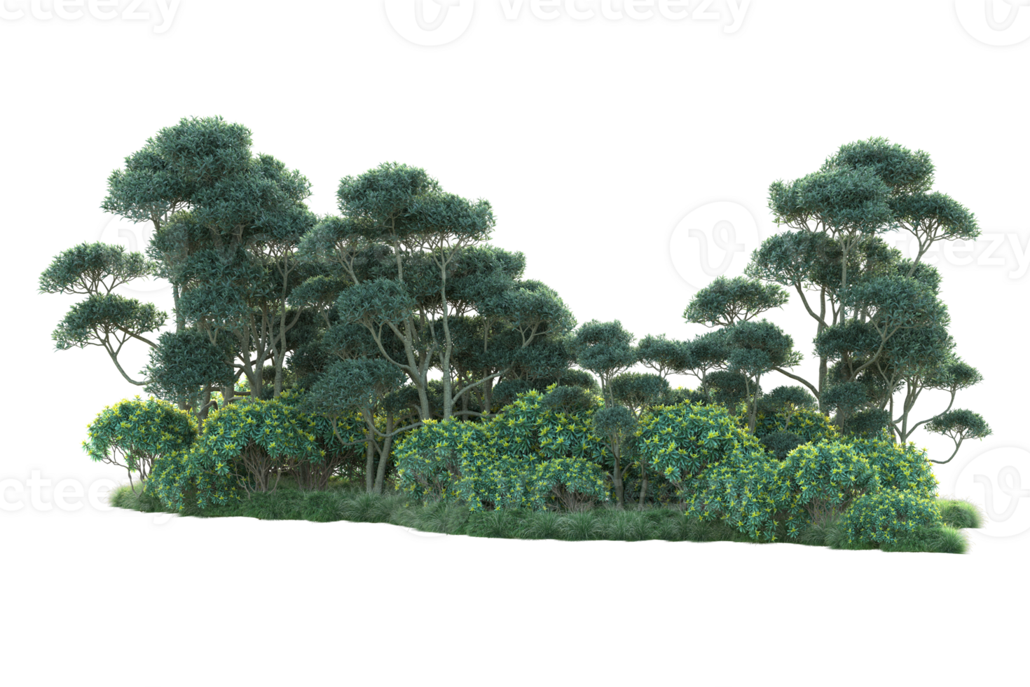Tropical forest isolated on transparent background. 3d rendering - illustration png