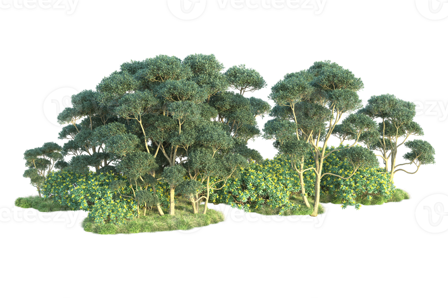 Tropical forest isolated on transparent background. 3d rendering - illustration png