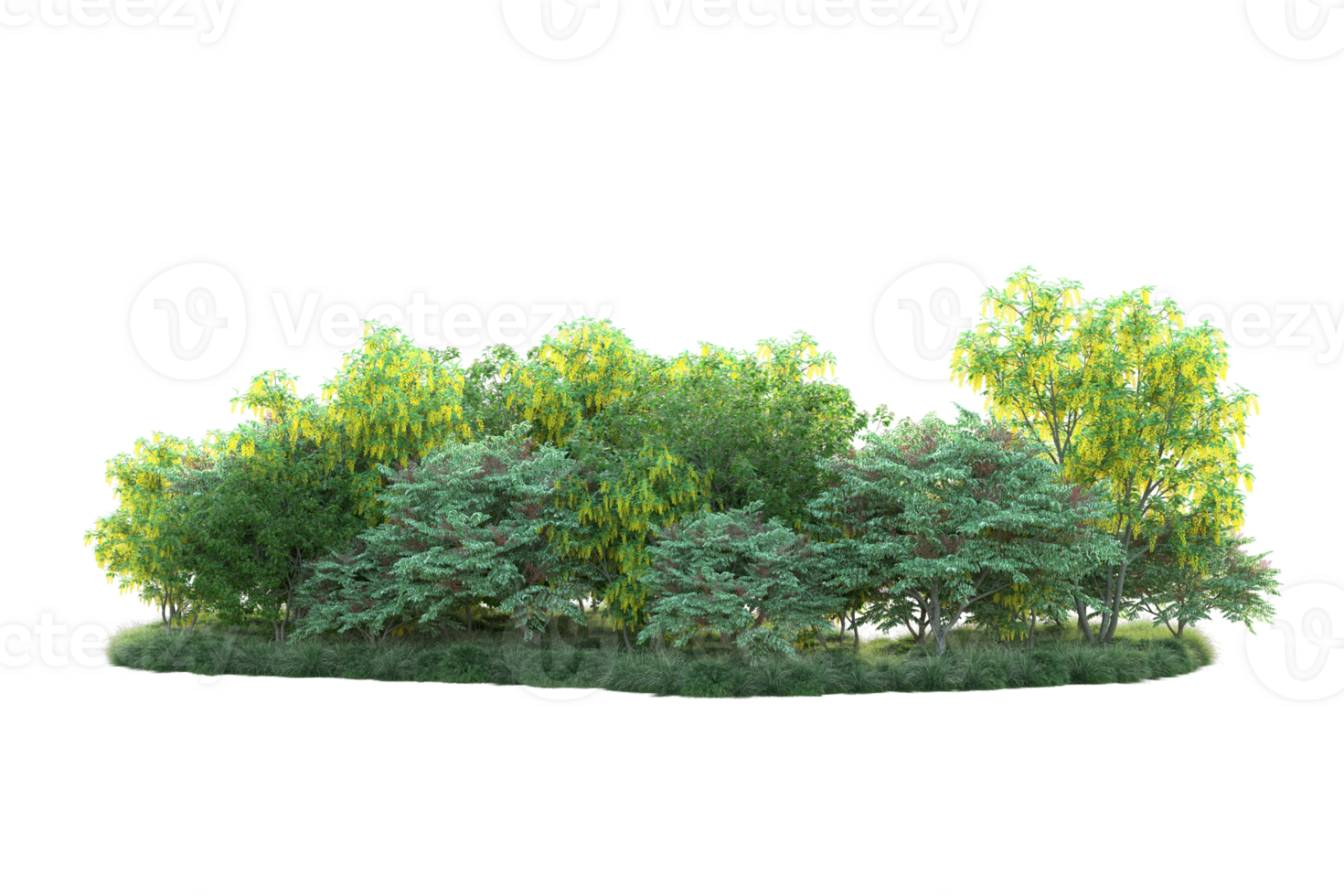 Tropical forest isolated on transparent background. 3d rendering - illustration png