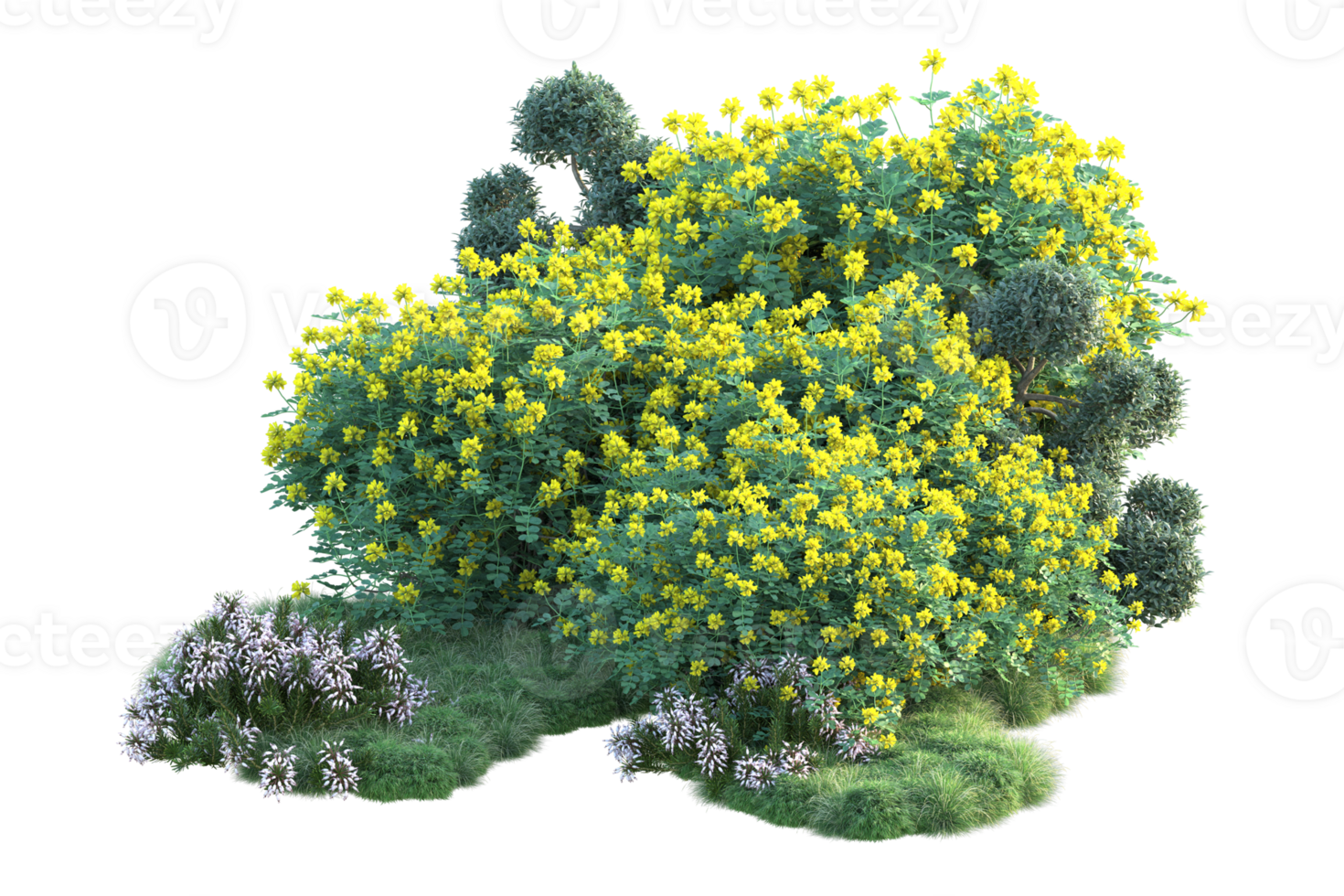 Tropical forest isolated on transparent background. 3d rendering - illustration png
