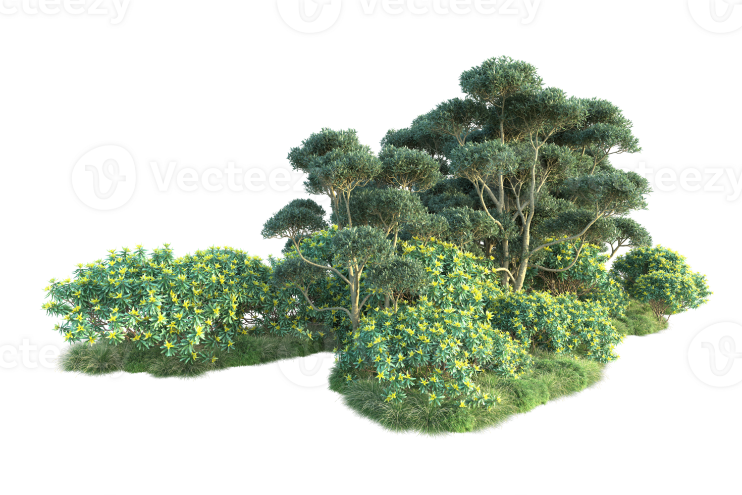 Tropical forest isolated on transparent background. 3d rendering - illustration png