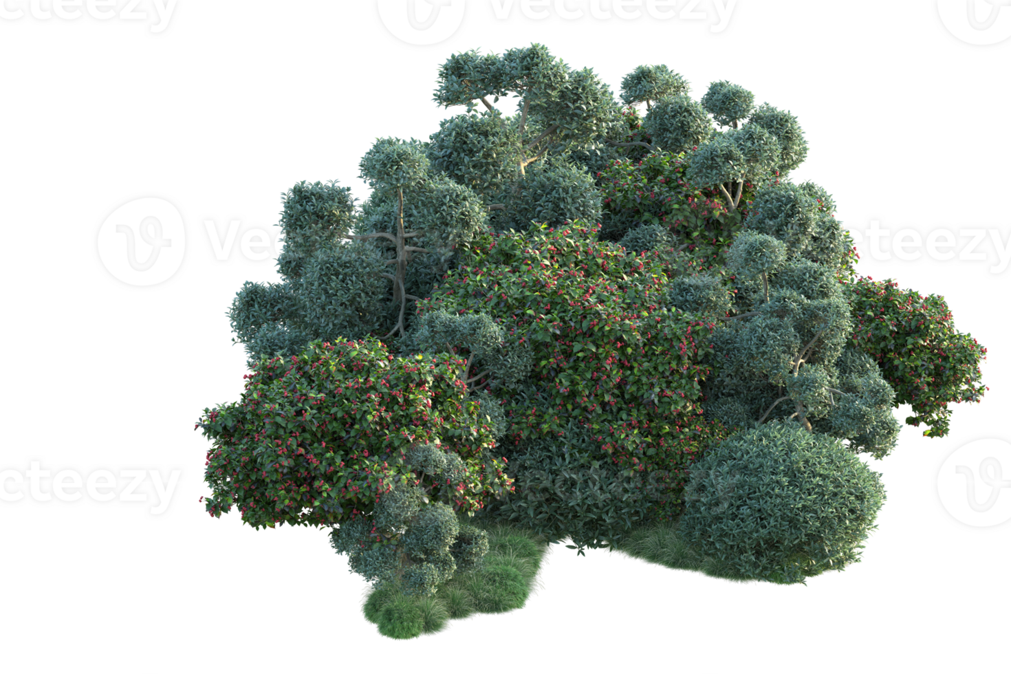 Tropical forest isolated on transparent background. 3d rendering - illustration png