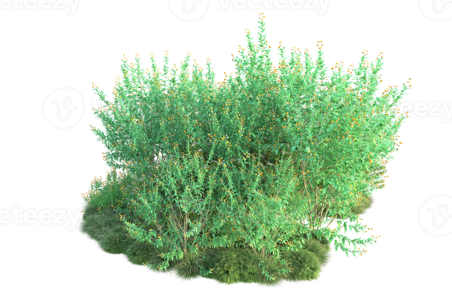 Tropical forest isolated on transparent background. 3d rendering - illustration png
