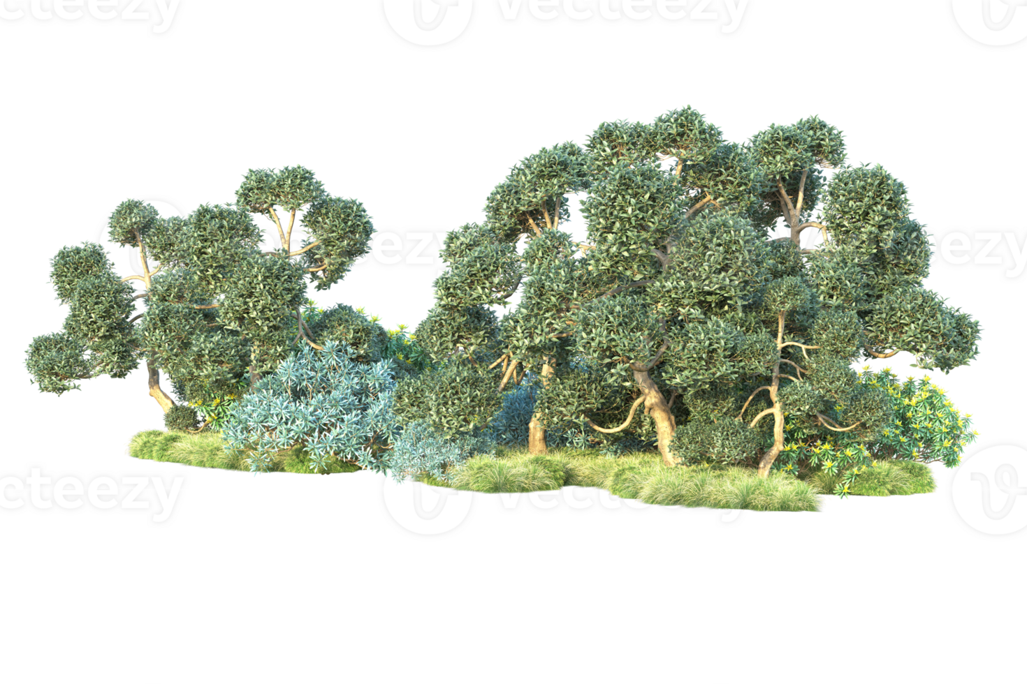 Tropical forest isolated on transparent background. 3d rendering - illustration png