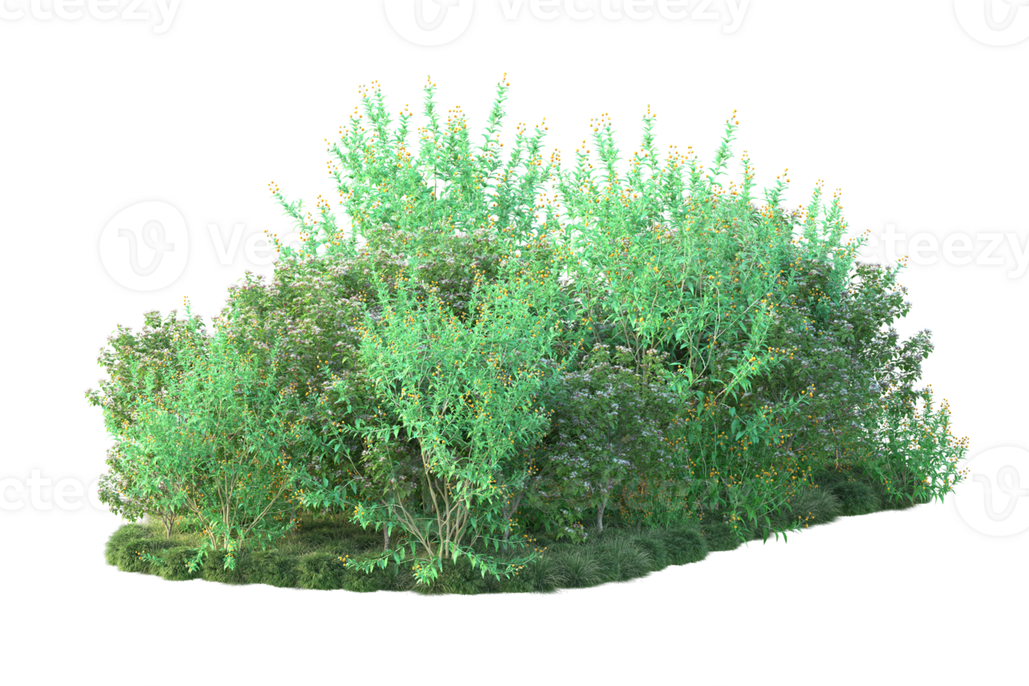 Tropical forest isolated on transparent background. 3d rendering - illustration png